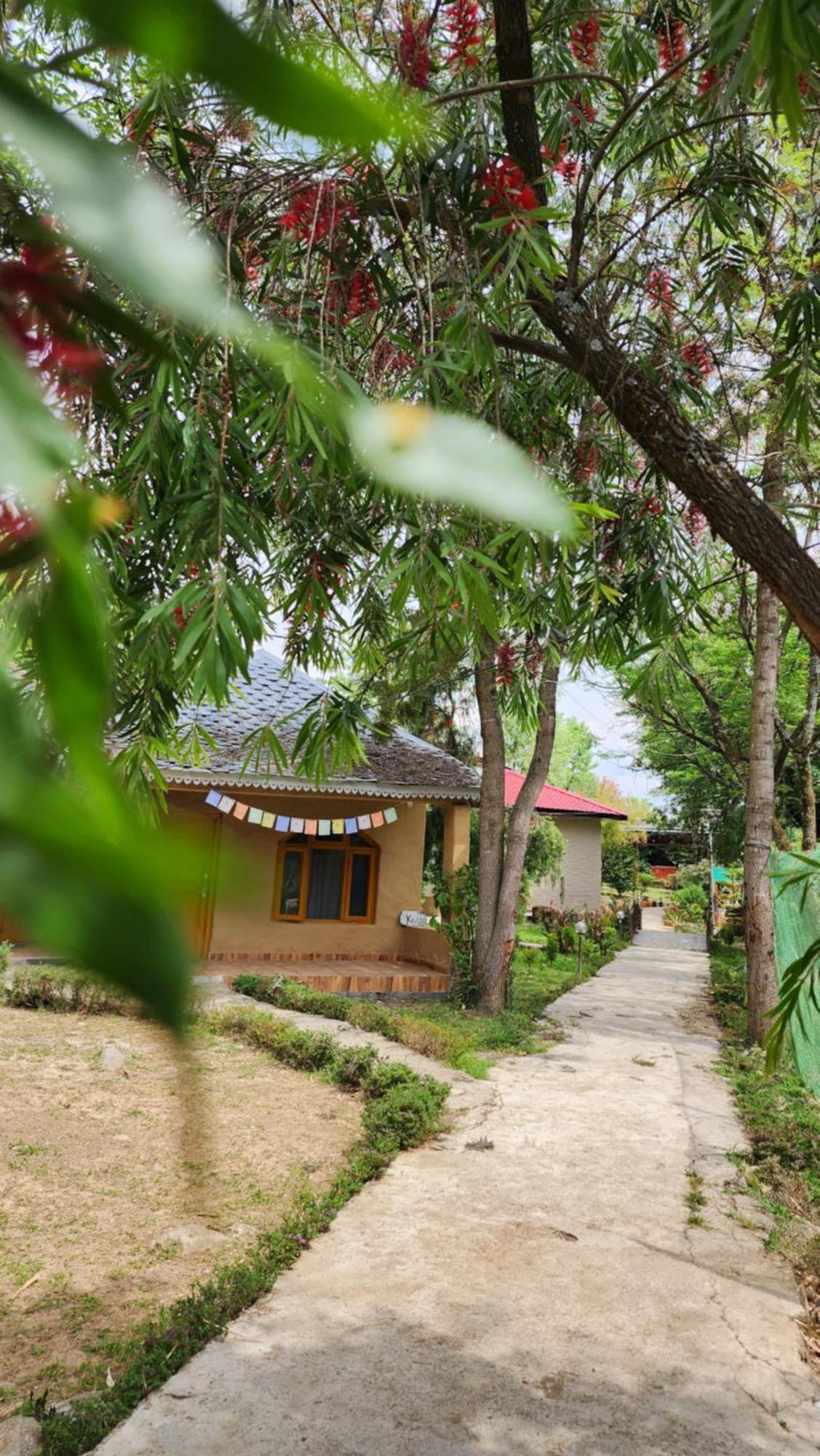 Namlang Resort Bīr Zewnętrze zdjęcie