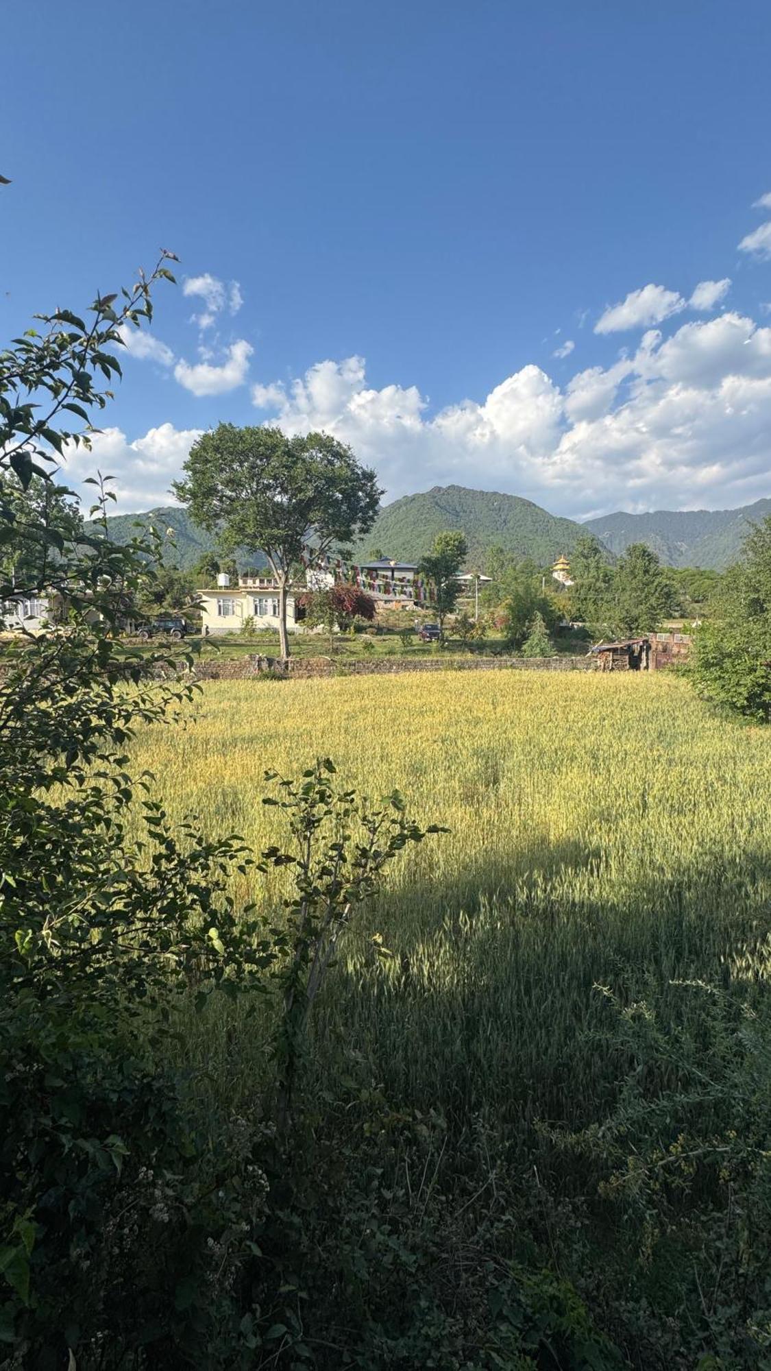 Namlang Resort Bīr Zewnętrze zdjęcie